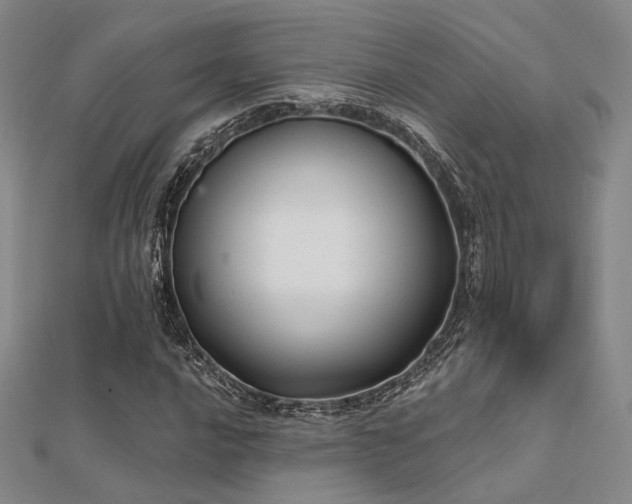 X0000112031016200908101334