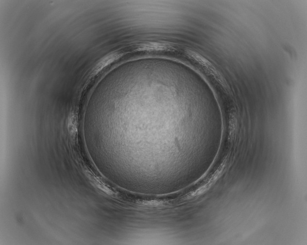 X0000112031017200908101334