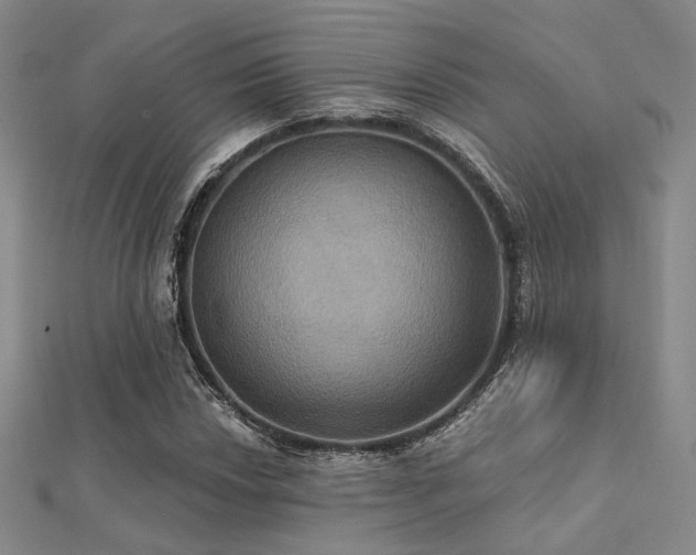 X0000112031018200908101334