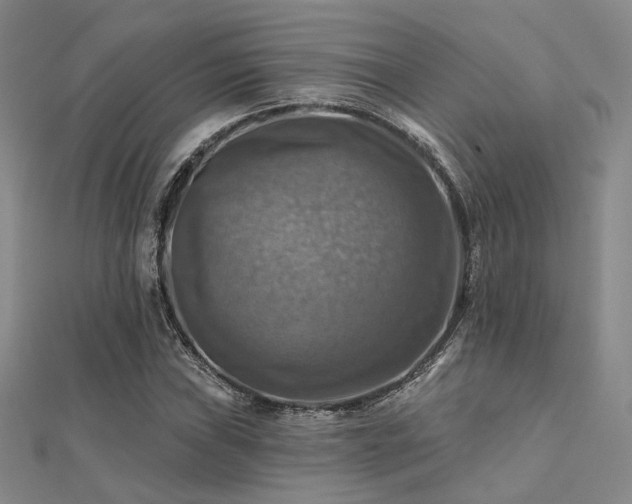 X0000112031019200908101334
