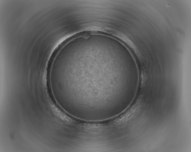 X0000112031020200908101334