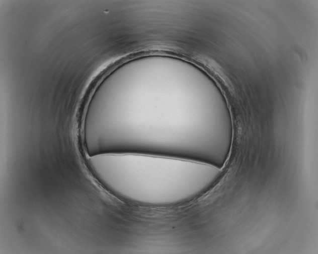 X0000112031024200908101334