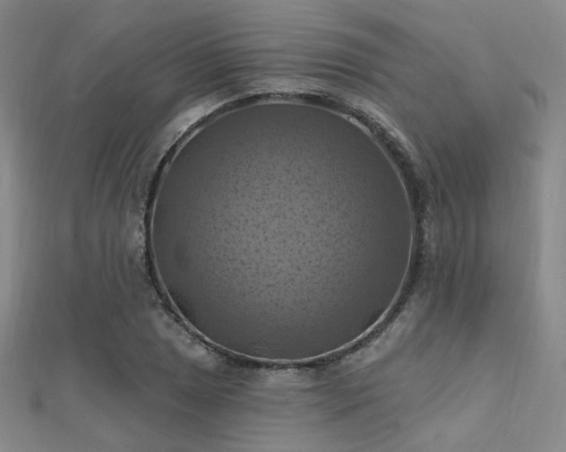 X0000112031025200908101334