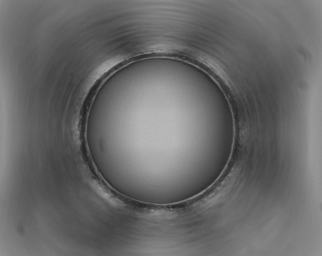 X0000112031026200908101334