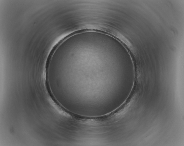 X0000112031028200908101334