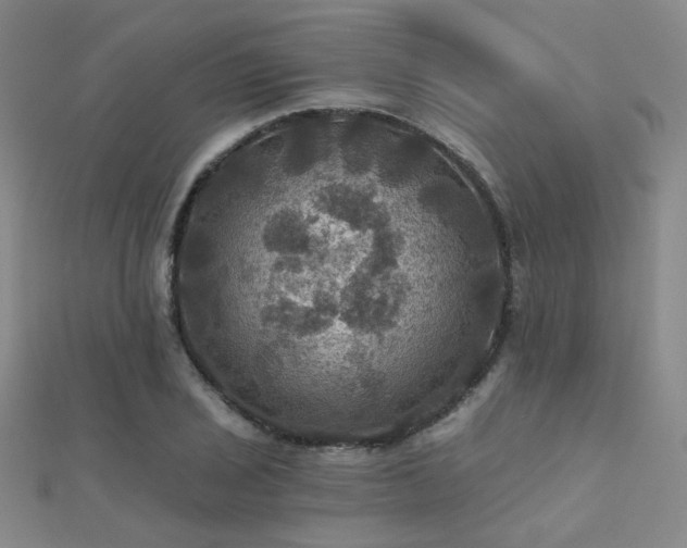X0000112031029200908101334