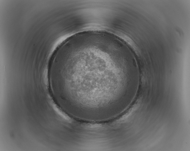 X0000112031030200908101334