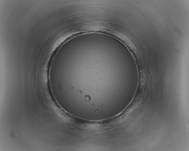 X0000112031031200908101334