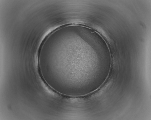 X0000112031032200908101334