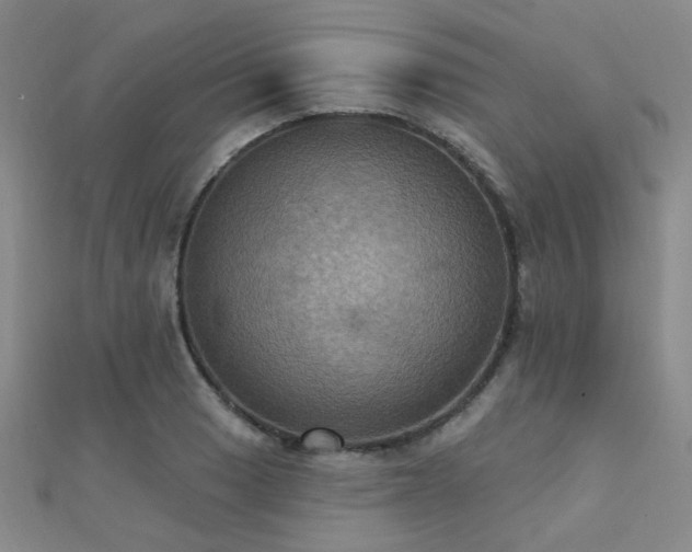X0000112031033200908101334