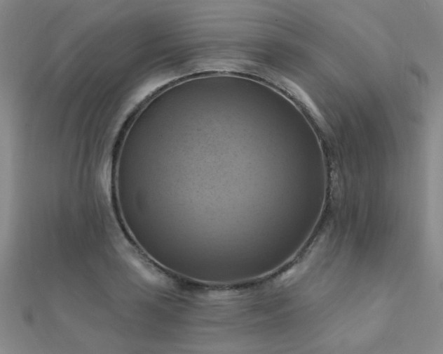 X0000112031035200908101334