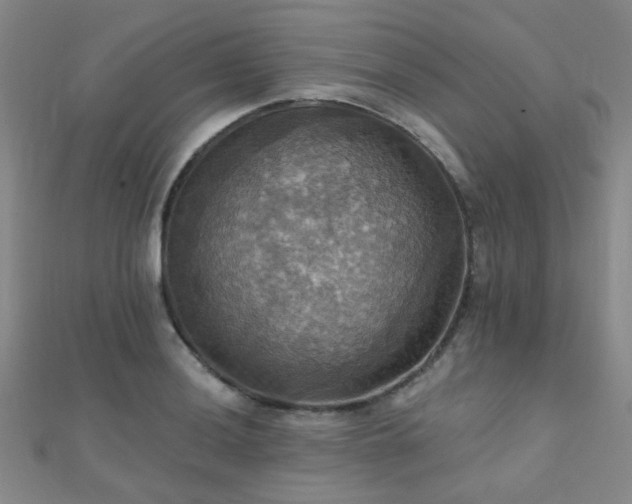 X0000112031036200908101334