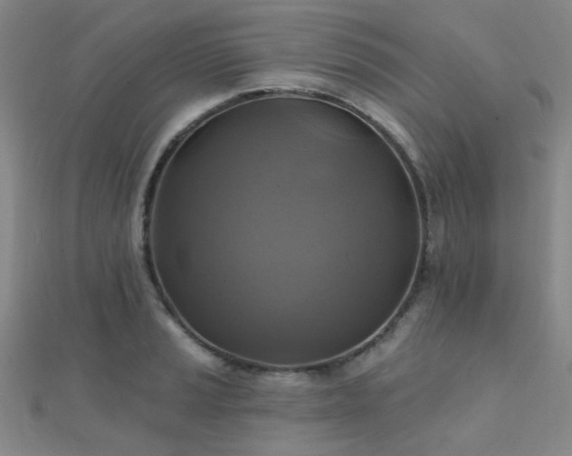X0000112031037200908101334