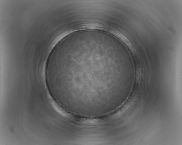 X0000112031039200908101334
