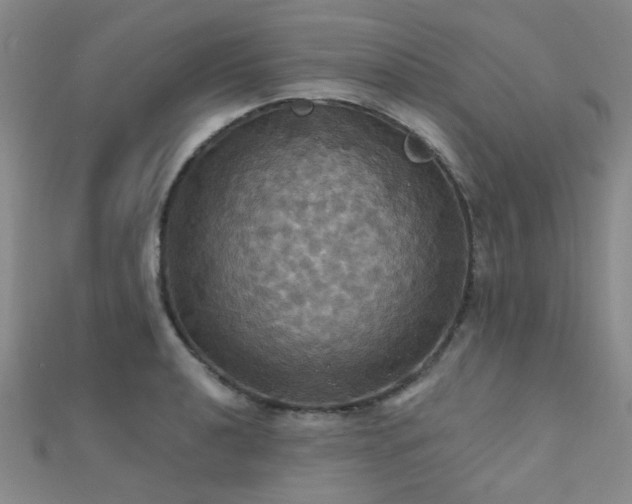 X0000112031040200908101334