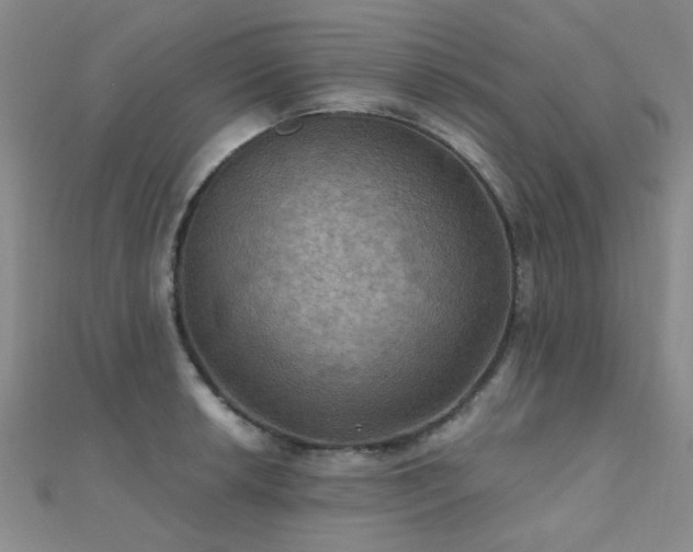 X0000112031042200908101334