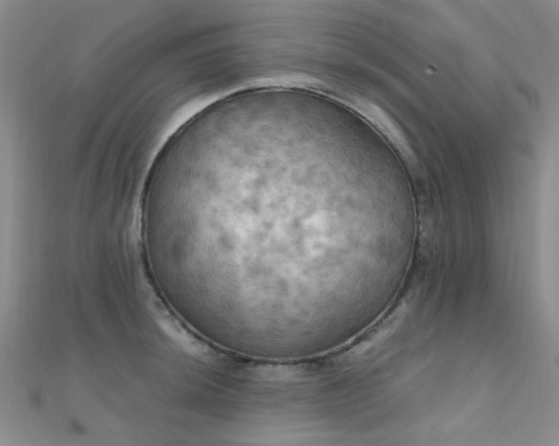X0000112031044200908101334