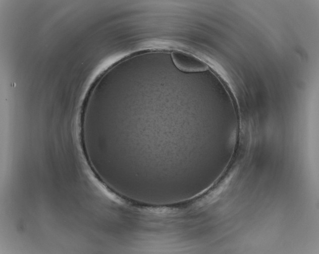 X0000112031045200908101334