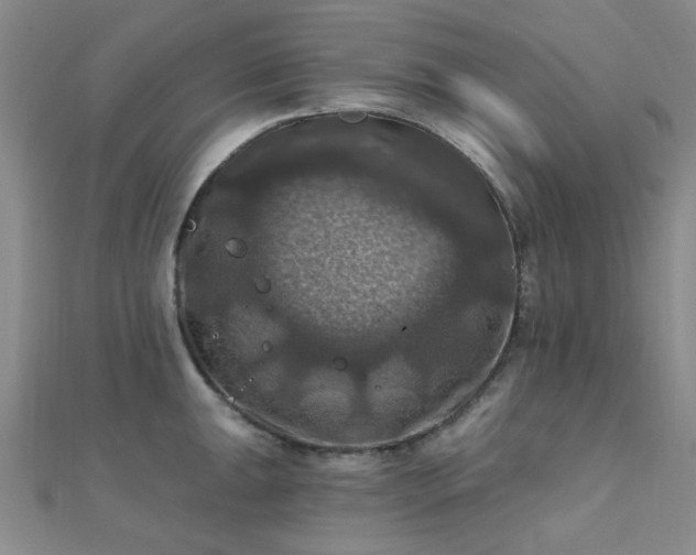 X0000112031047200908101334