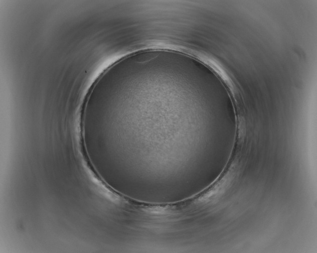 X0000112031048200908101334