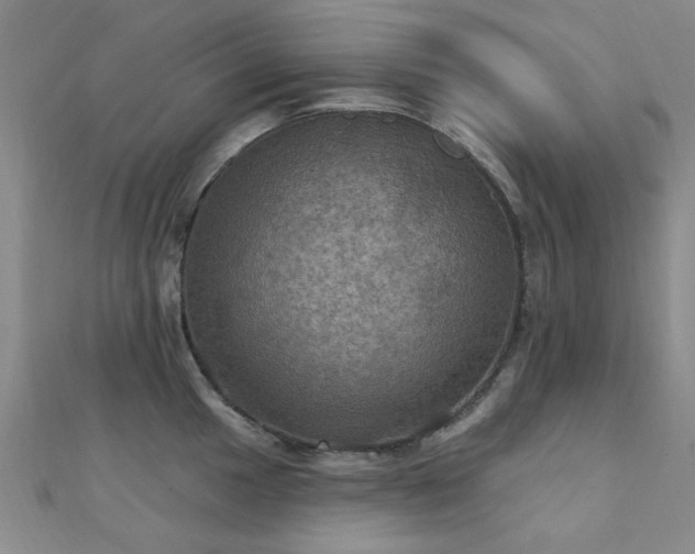 X0000112031049200908101334