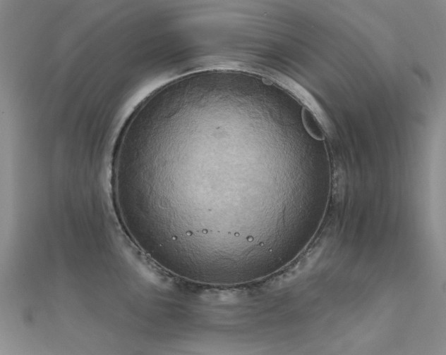 X0000112031051200908101334