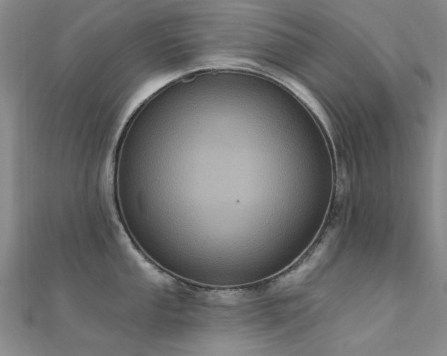 X0000112031053200908101334