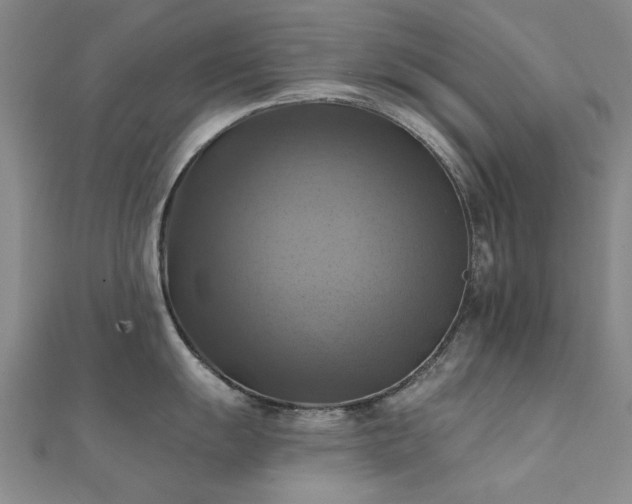 X0000112031055200908101334