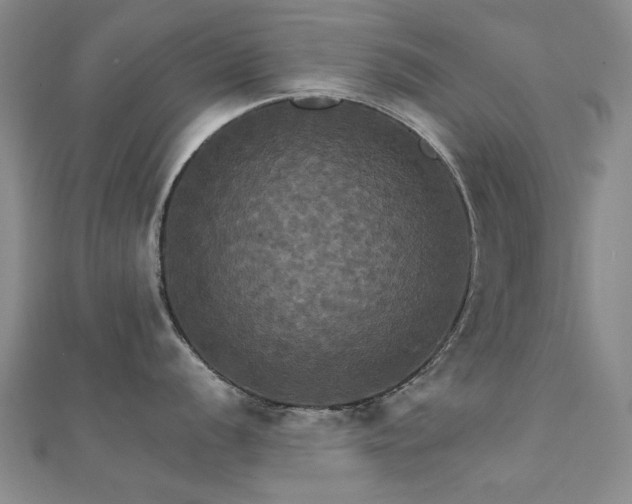 X0000112031056200908101334