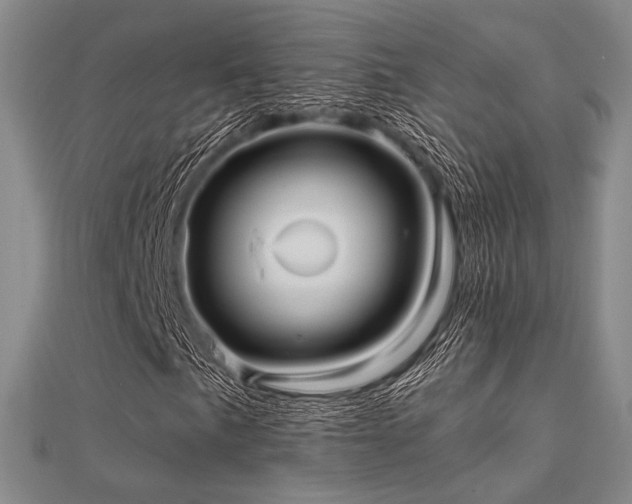 X0000112031057200908101333