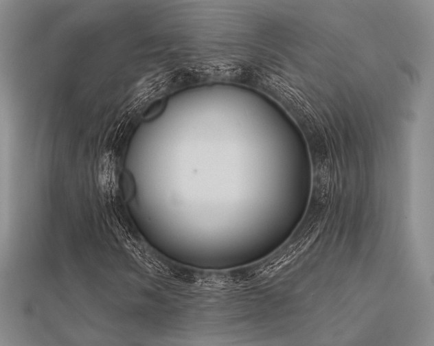 X0000112031058200908101333