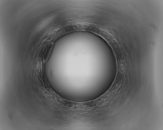 X0000112031061200908101333