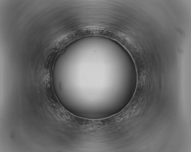 X0000112031062200908101333