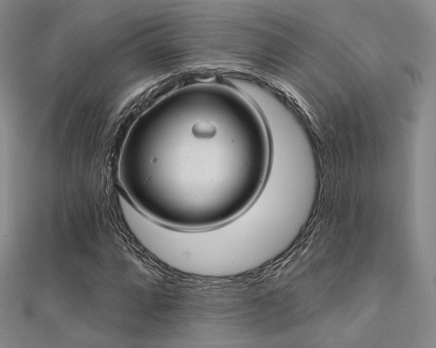 X0000112031064200908101333