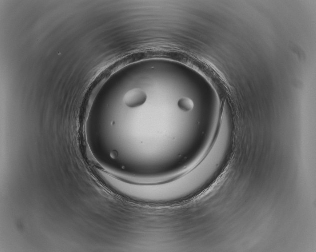 X0000112031065200908101333