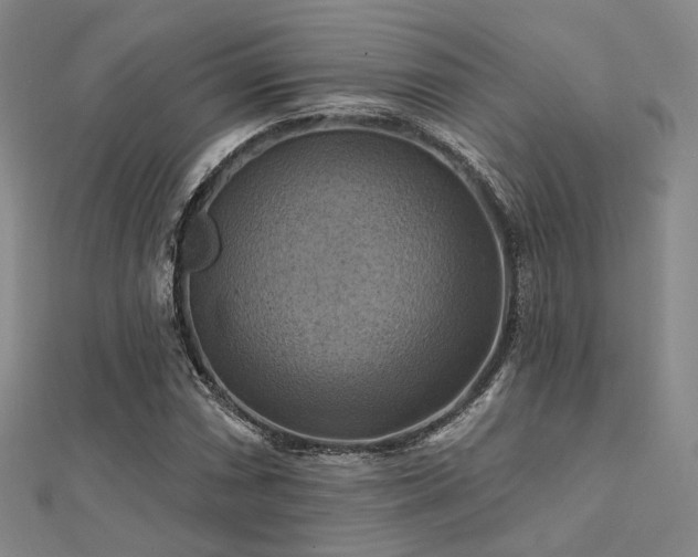 X0000112031066200908101333