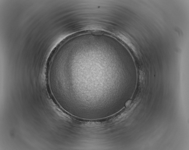 X0000112031068200908101333