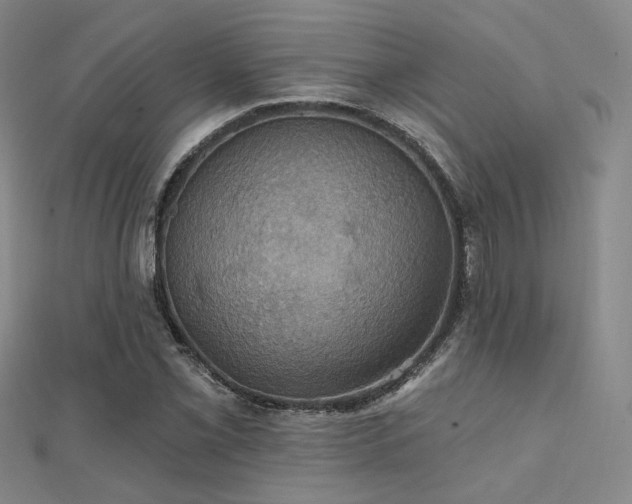 X0000112031069200908101333