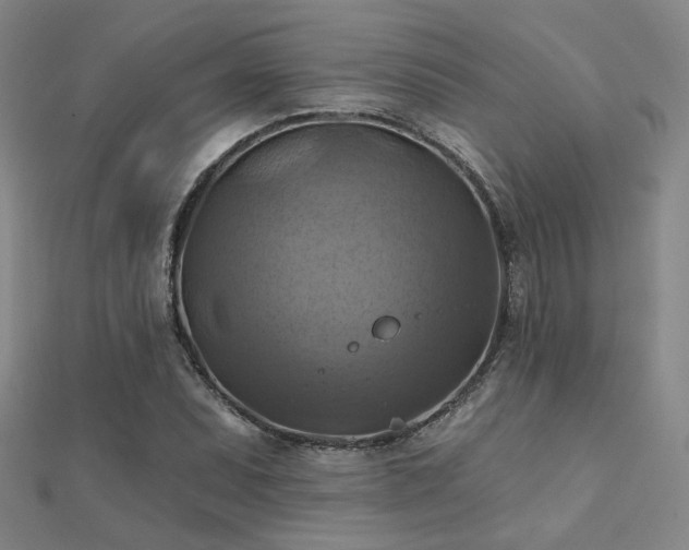 X0000112031071200908101333