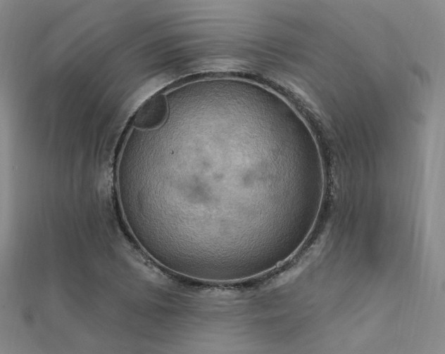 X0000112031073200908101333