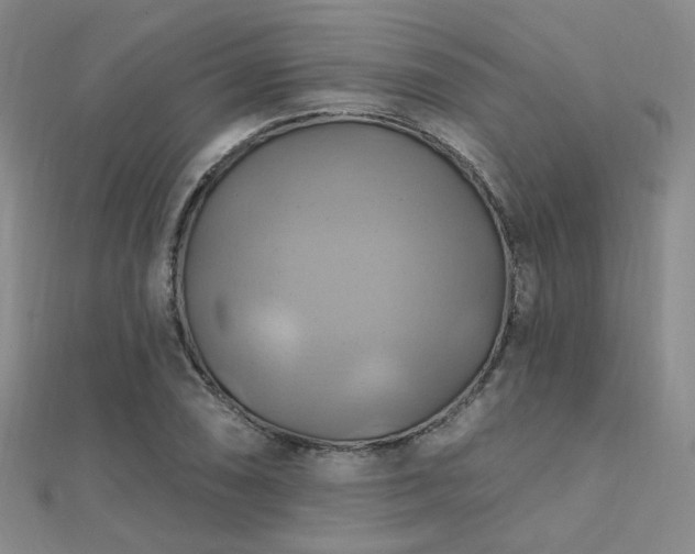 X0000112031074200908101333