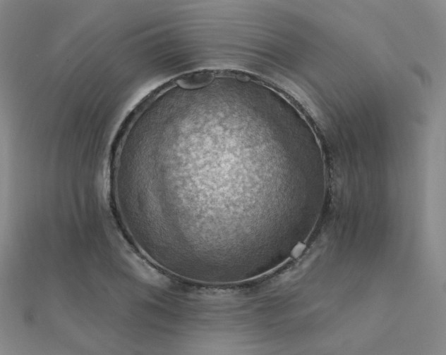 X0000112031076200908101333
