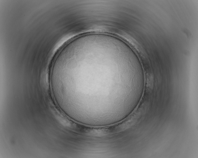 X0000112031078200908101333