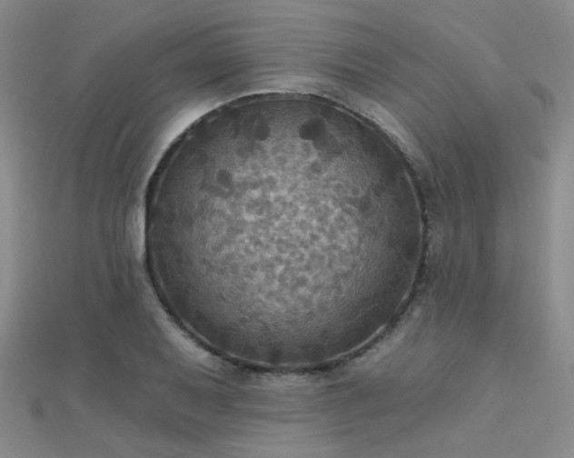 X0000112031079200908101333