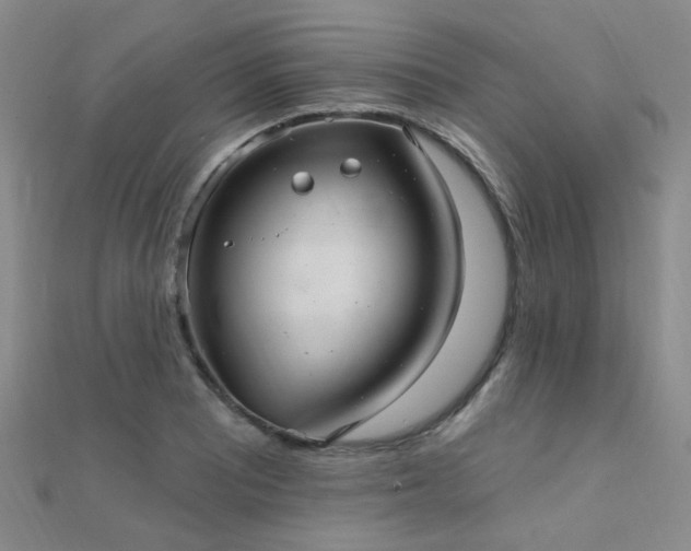 X0000112031081200908101333