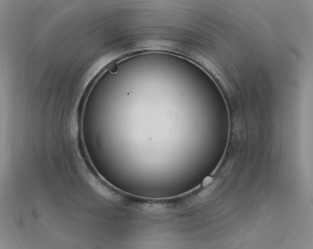 X0000112031082200908101333