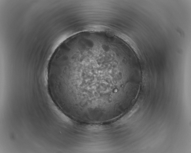 X0000112031083200908101333
