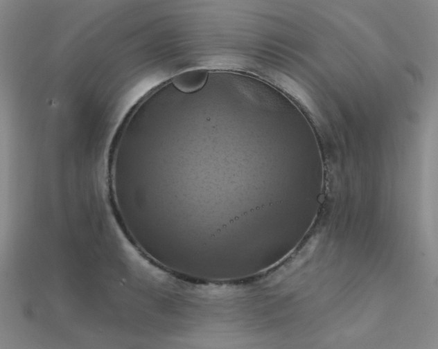 X0000112031087200908101333