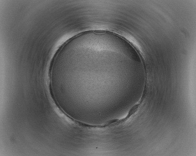 X0000112031088200908101333
