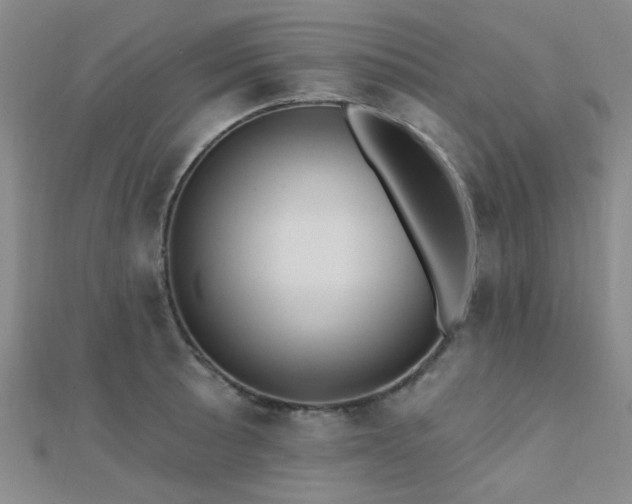 X0000112031089200908101333